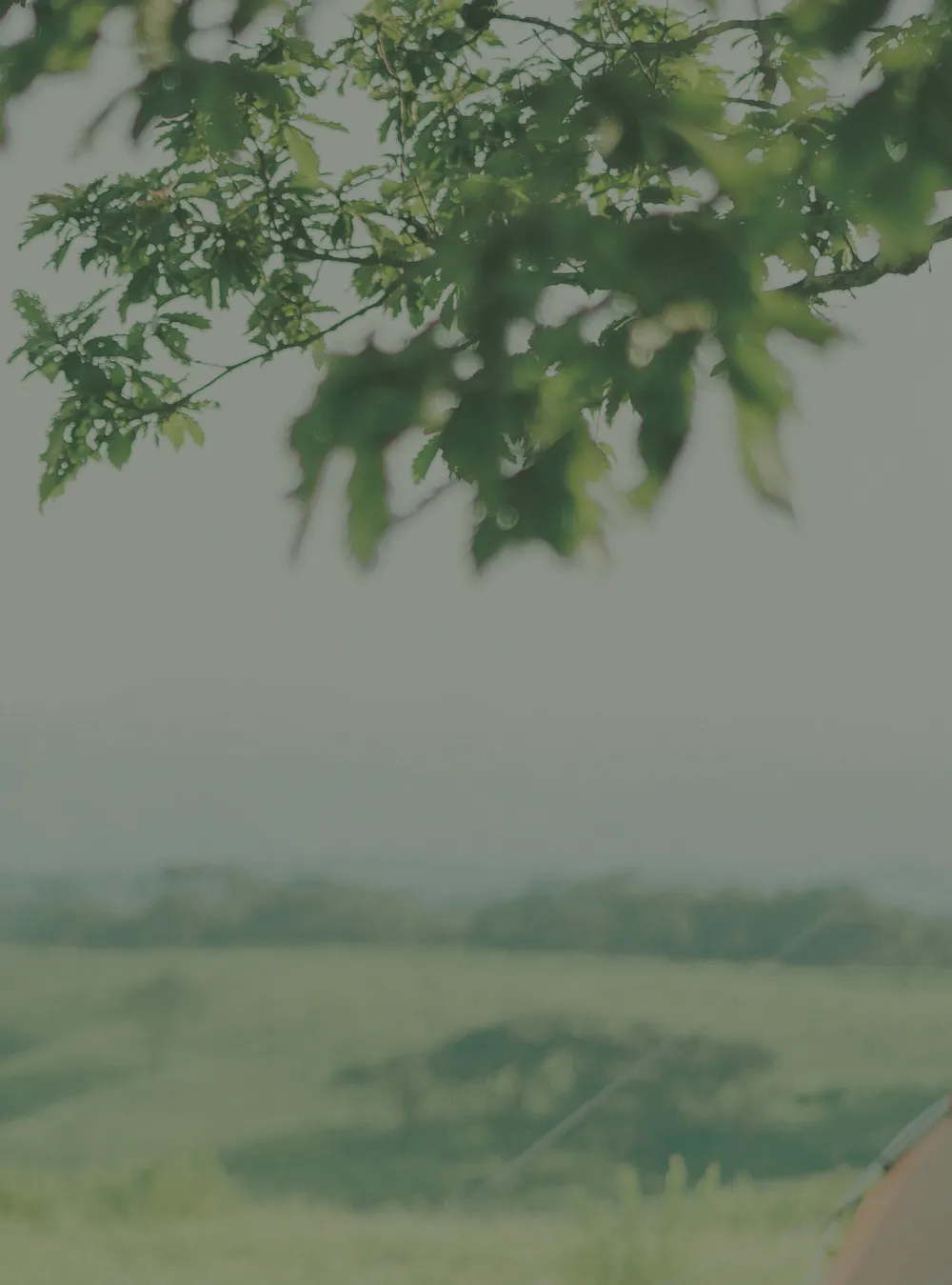 renewal-1.webp