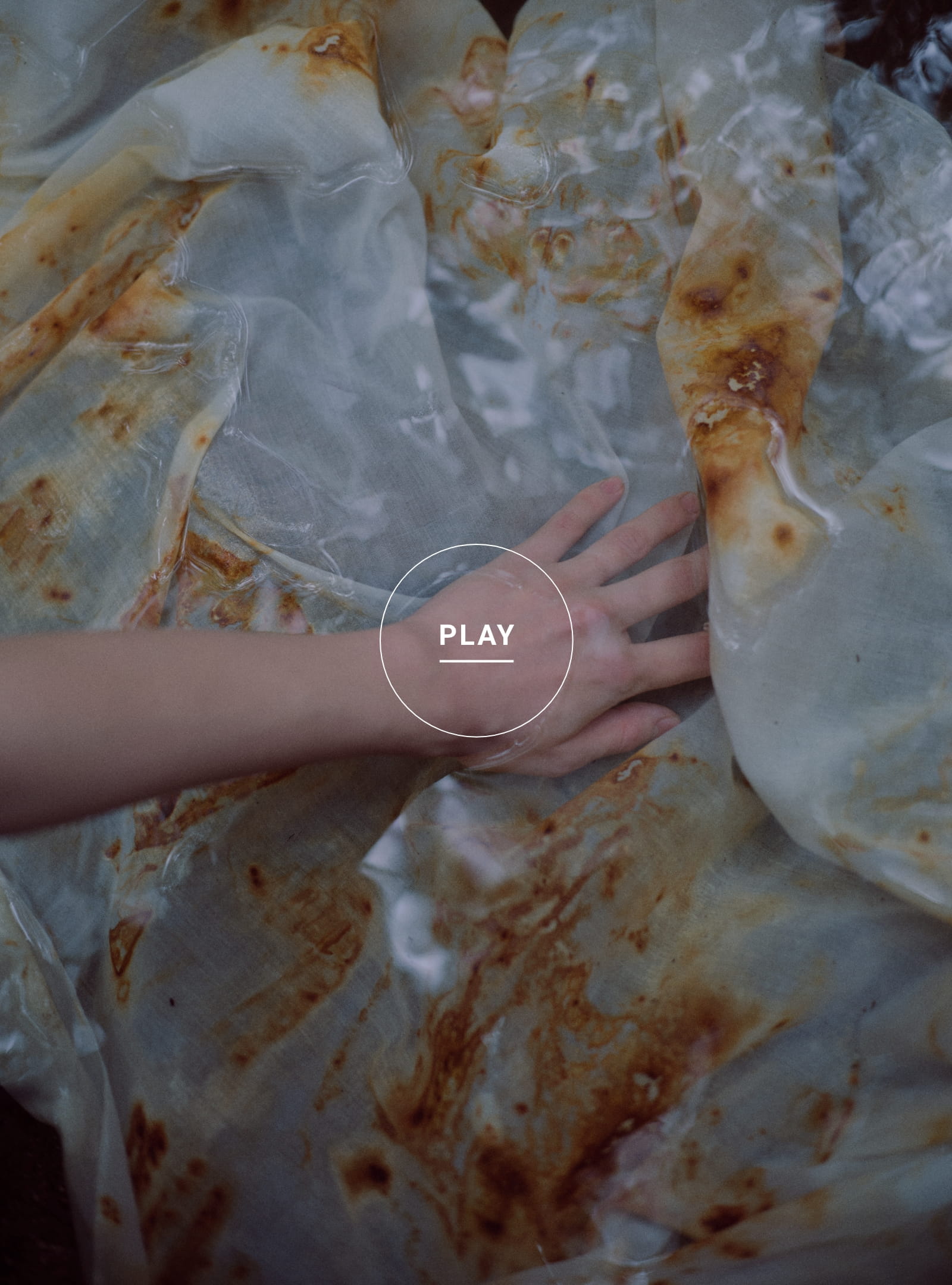 2026 SPRING / SUMMER Movie