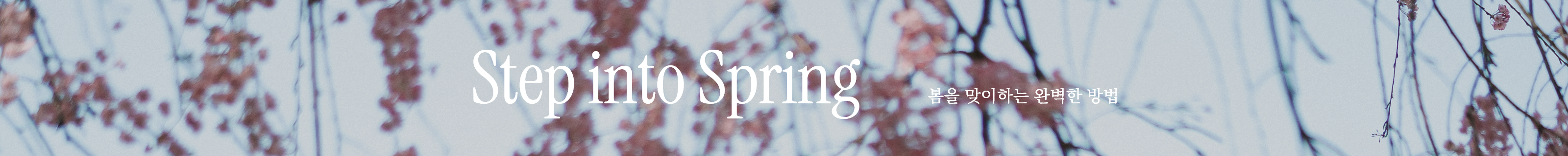 PLAN2026032500044 banner