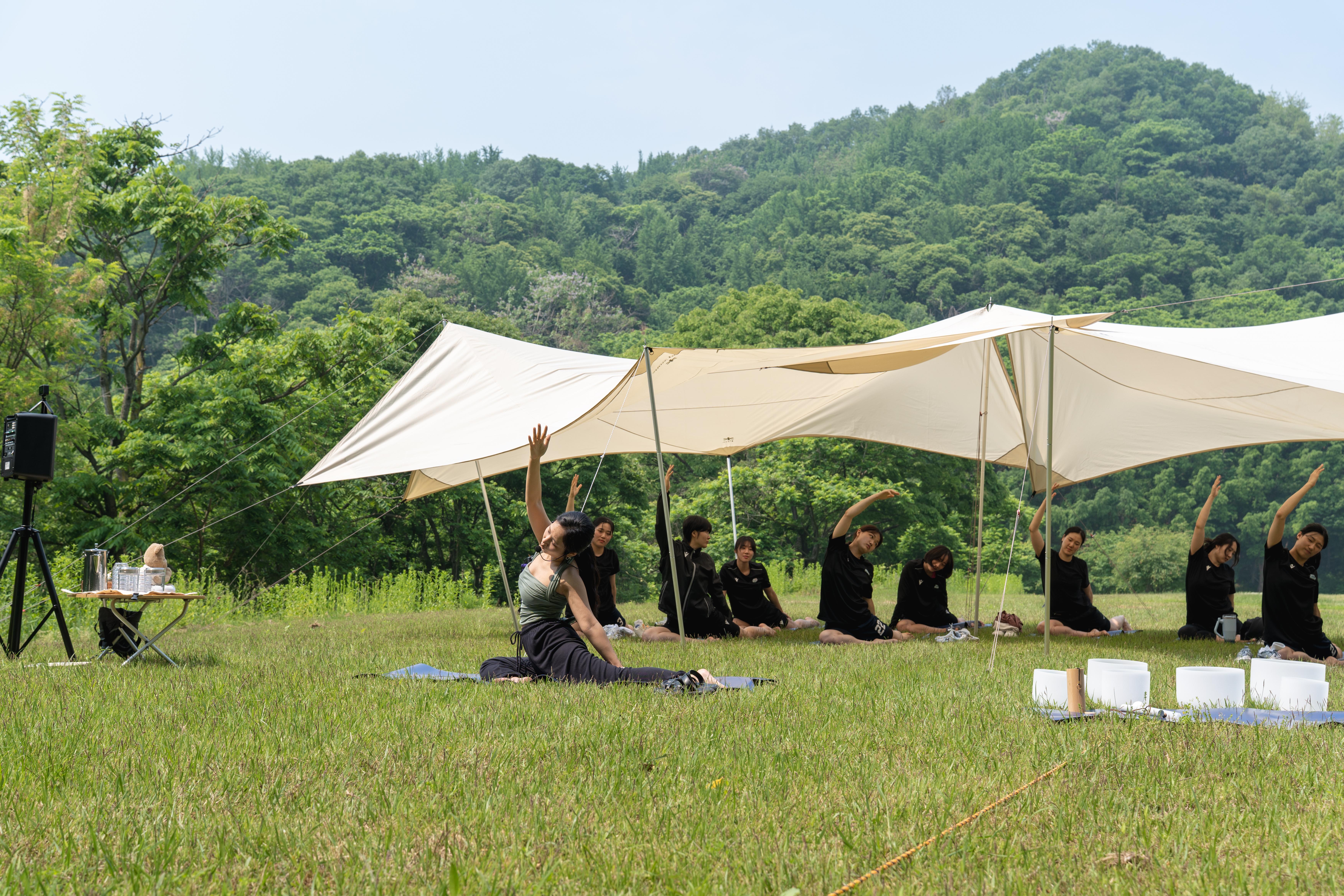 Forest Yoga 2