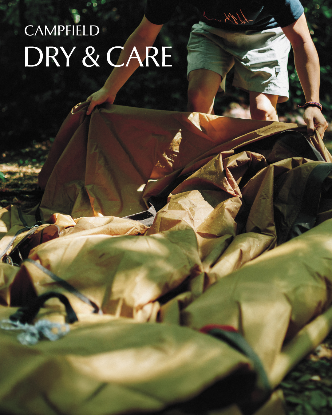 캠프필드 Dry&Care